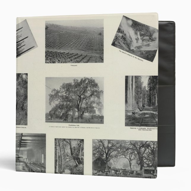 California 4 3 ring binder (Front/Inside)