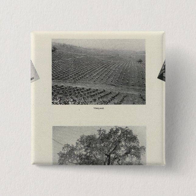 California 4 button (Front)