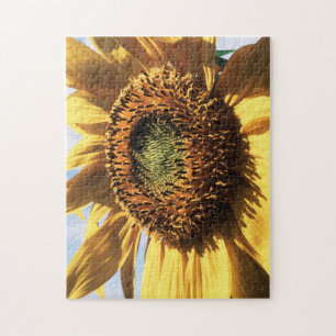 California, A Mammoth Sunflower (Helianthus) 1 Jigsaw Puzzle