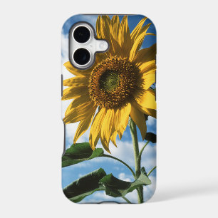California, A Mammoth Sunflower (Helianthus) 2 iPhone 17 Case