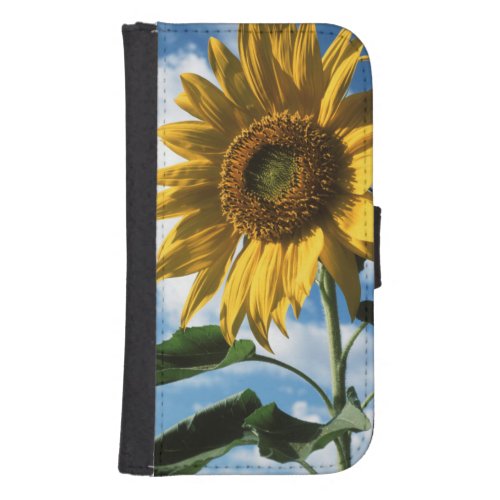 California A Mammoth Sunflower Helianthus 2 Wallet Phone Case For Samsung Galaxy S4