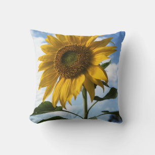 California, A Mammoth Sunflower (Helianthus) 4 Throw Pillow