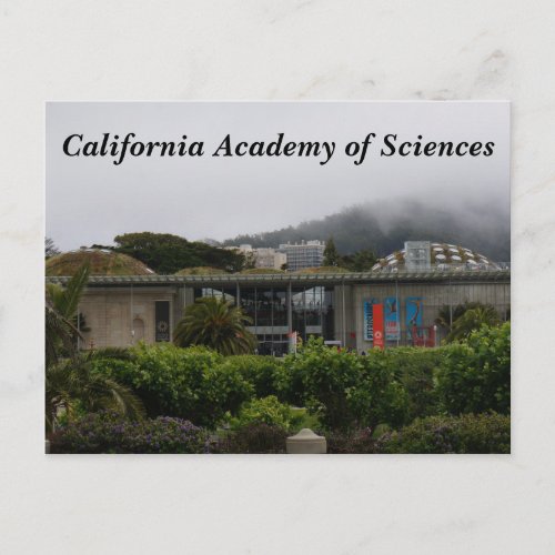 California Academy of Sciences 2 Postcard