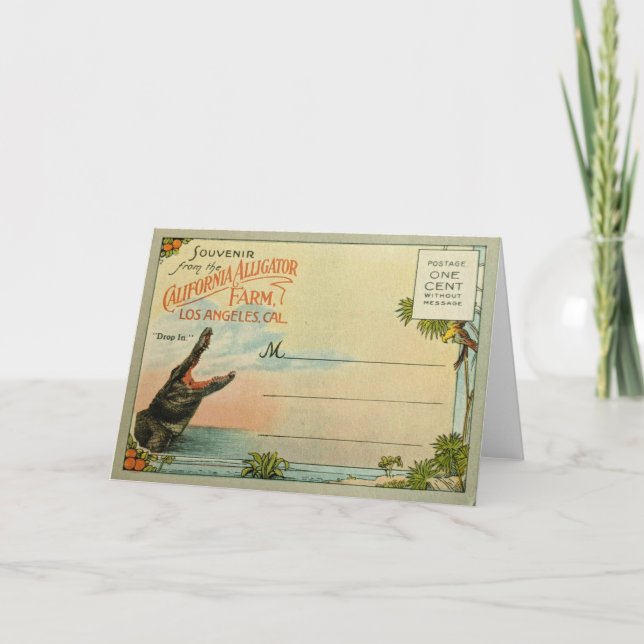 California Alligators Card (Front)