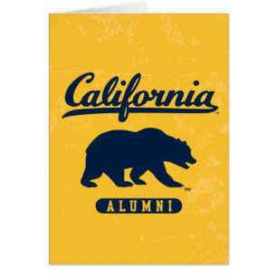 California Alumni Distressed Blue Bear