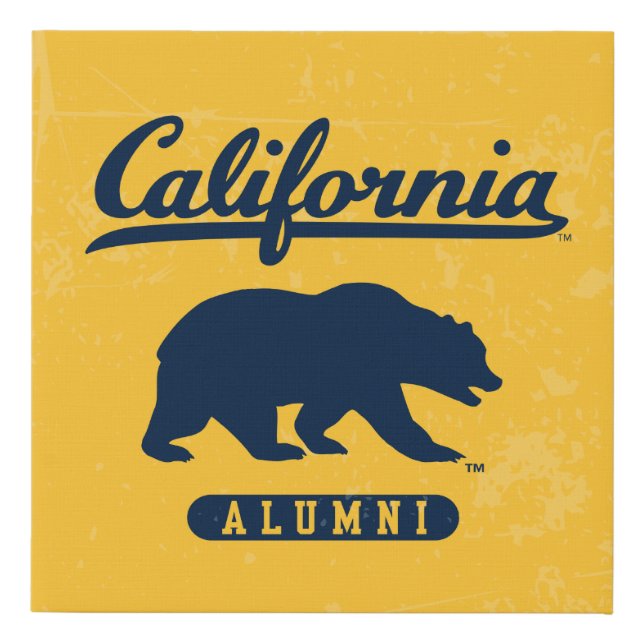 California Alumni | Distressed Blue Bear Faux Canvas Print (Front)