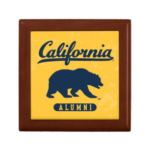 California Alumni Distressed Blue Bear Gift Box