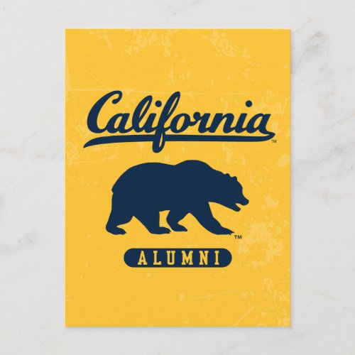 California Alumni  Distressed Blue Bear Postcard
