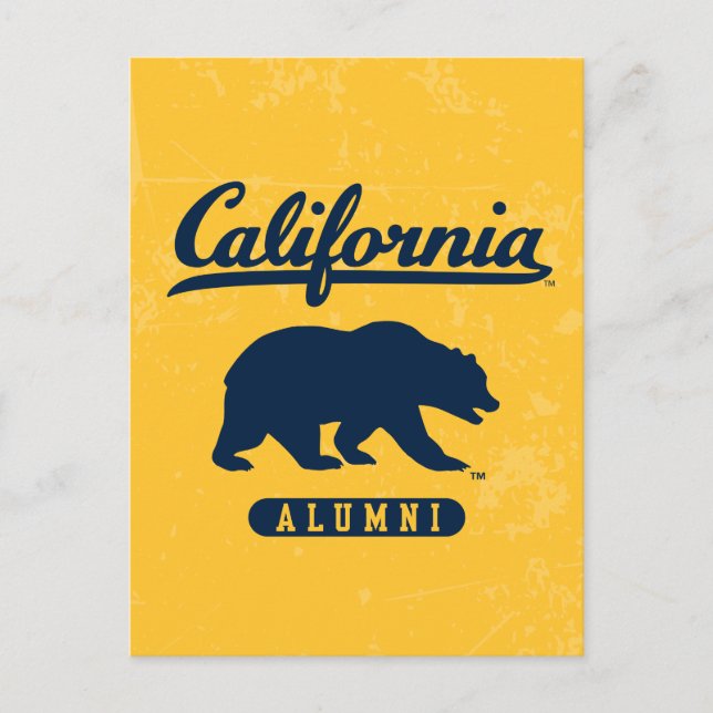 California Alumni | Distressed Blue Bear Postcard (Front)