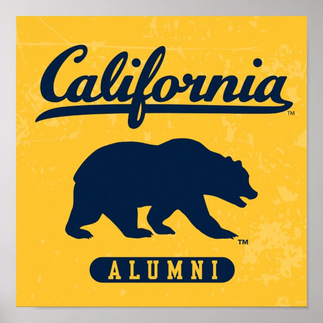 California Alumni | Distressed Blue Bear Poster (Front)