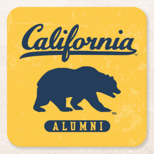 California Alumni Distressed Blue Bear Square Paper Coaster