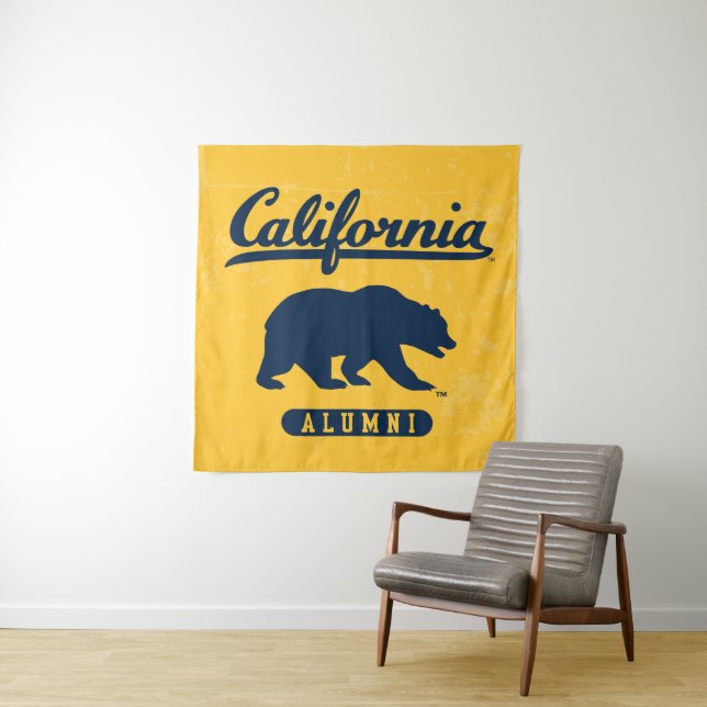 California Alumni | Distressed Blue Bear Tapestry (In Situ)