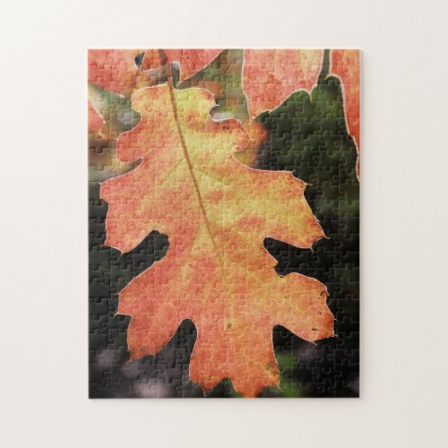 California An autumn colored Oak leaf Jigsaw Puzzle
