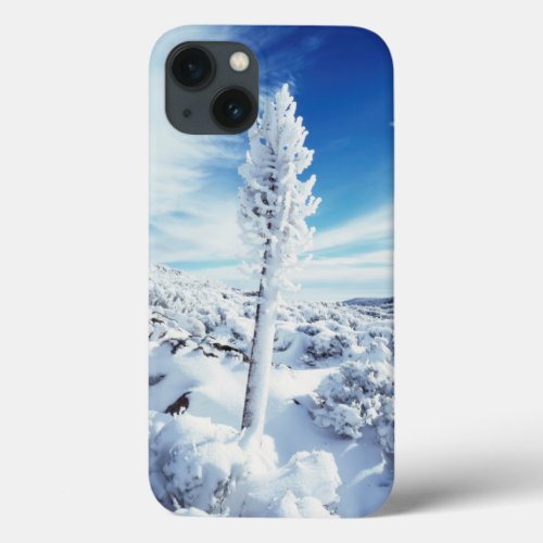 California Anza Borrego Desert State Park 2 iPhone 13 Case