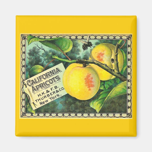 California Apricots - Vintage Crate Label Magnet (Front)