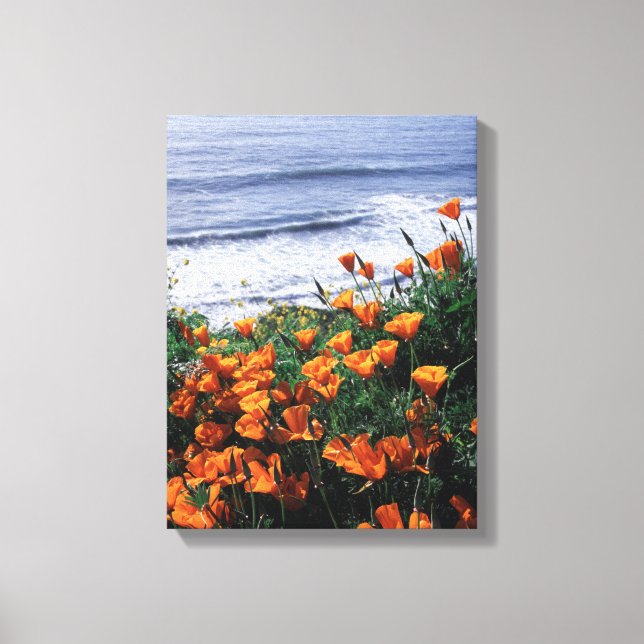 California, Big Sur Coast, California Poppy Canvas Print (Front)