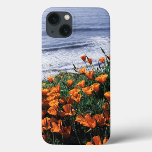 California Big Sur Coast California Poppy iPhone 13 Case