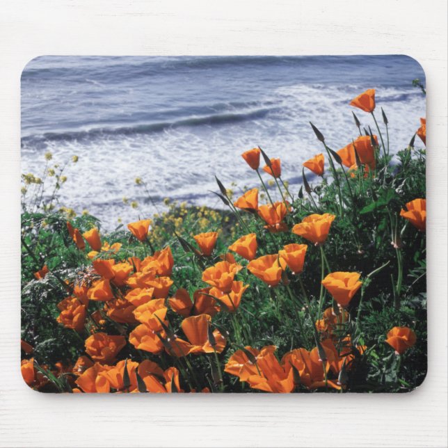 California, Big Sur Coast, California Poppy Mouse Pad (Front)