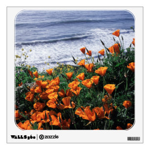 California, Big Sur Coast, California Poppy Wall Decal