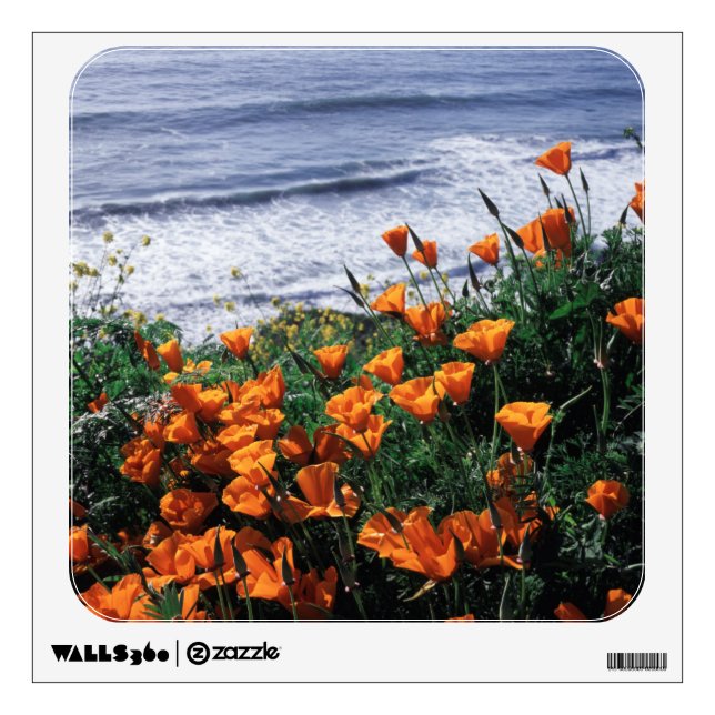 California, Big Sur Coast, California Poppy Wall Decal (Front)