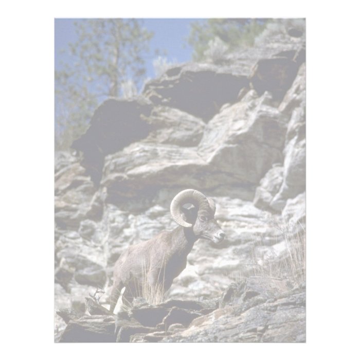 California bighorn sheep (Ram alert on mountain cl Letterhead