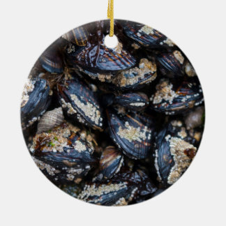 California Blue Mussels growing on rock in Bandon Ceramic Ornament