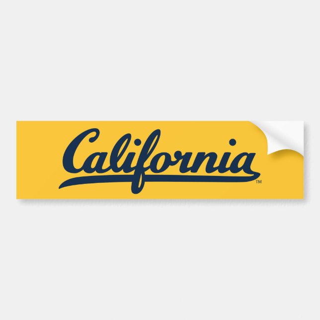California Blue Script Bumper Sticker (Front)