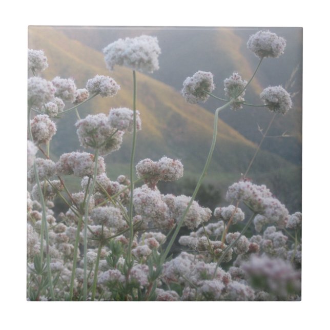 California Buckwheat Ceramic Tile (Front)