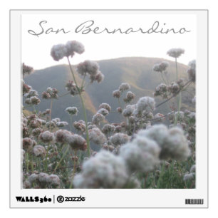 California Buckwheat Wall Sticker