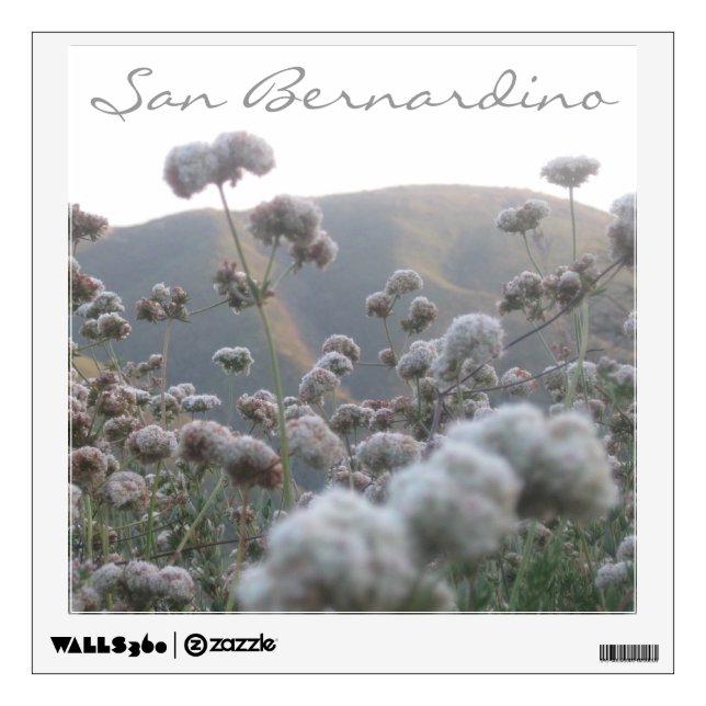 California Buckwheat Wall Sticker (Front)