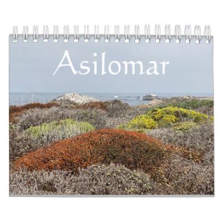 California Canvas: Asilomar Calendar