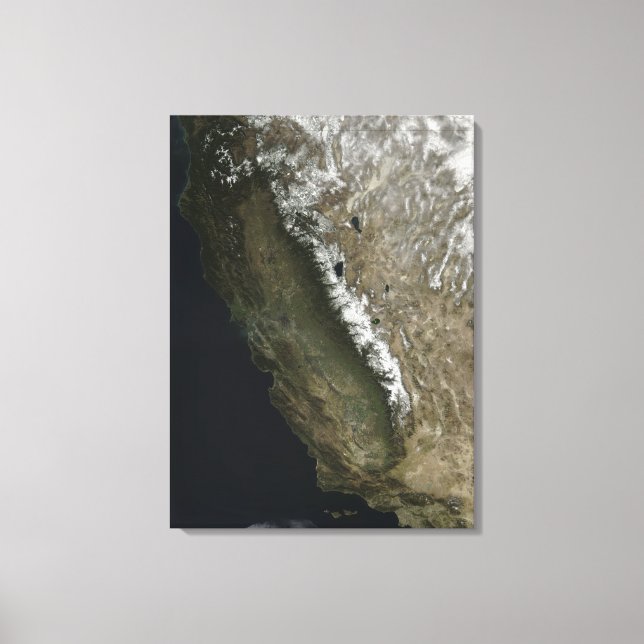 California Canvas Print (Front)