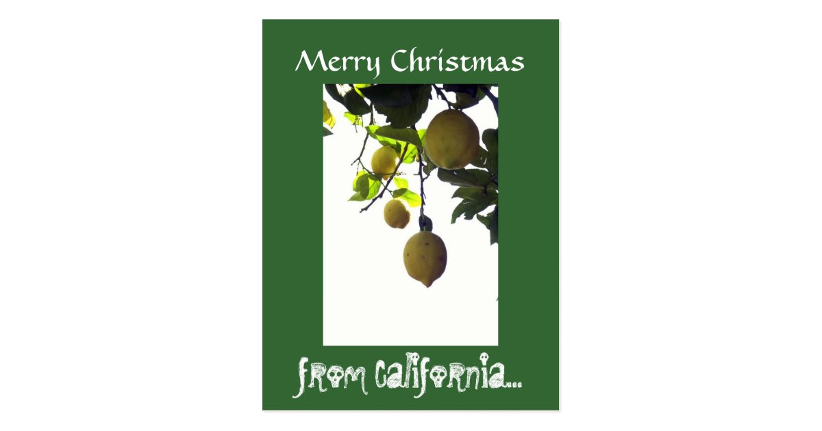 California Christmas Postcard