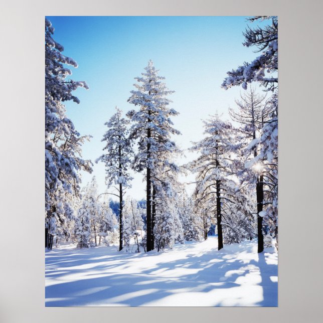 California, Cleveland National Forest, Laguna 2 Poster (Front)