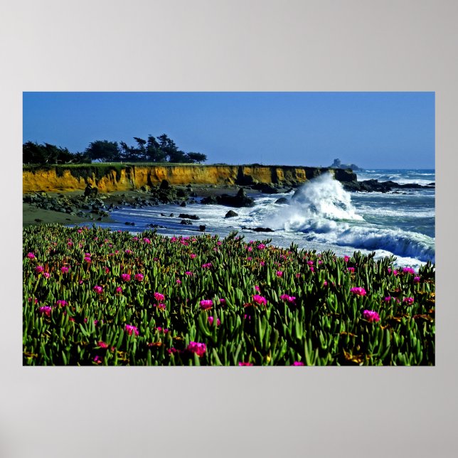 California Coast Flowers Poster (Front)