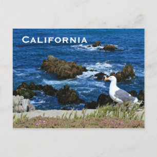 California Coast, Postcard