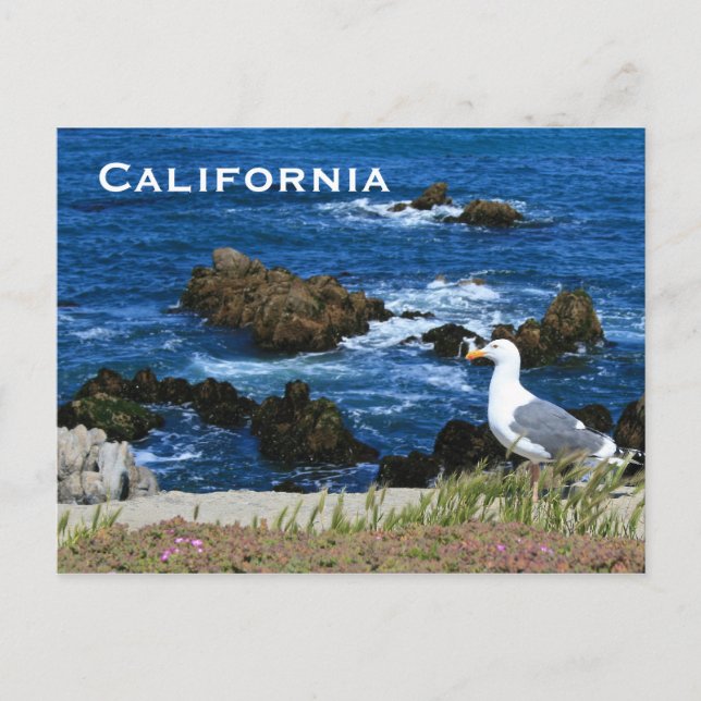 California Coast, Postcard (Front)