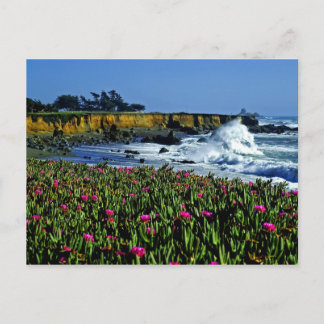 California Coast Postcard