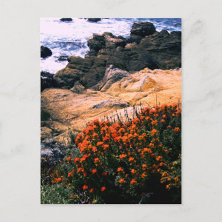 California Coastal Floral Postcard