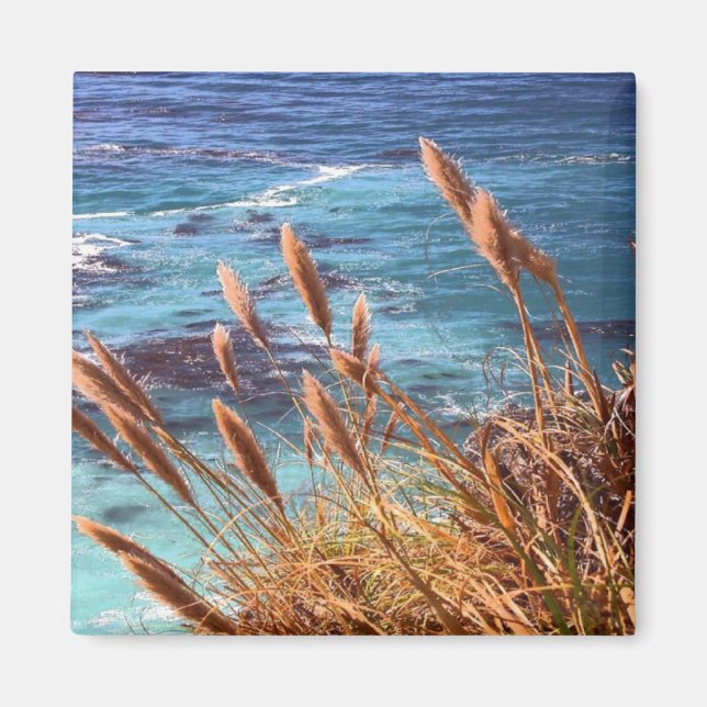 California Coastal Magnet (Front)