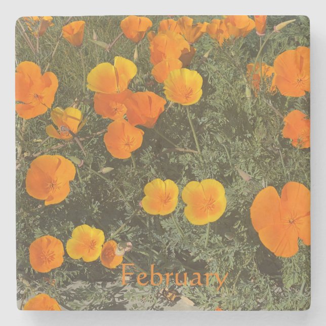 CALIFORNIA COASTER: JANUARY STONE COASTER (Front)