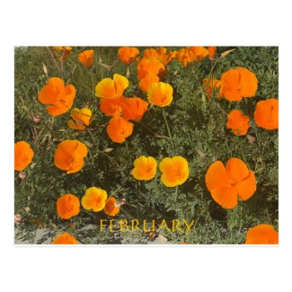 CALIFORNIA COLOR CELEBRATION: FEBRUARY POSTCARD