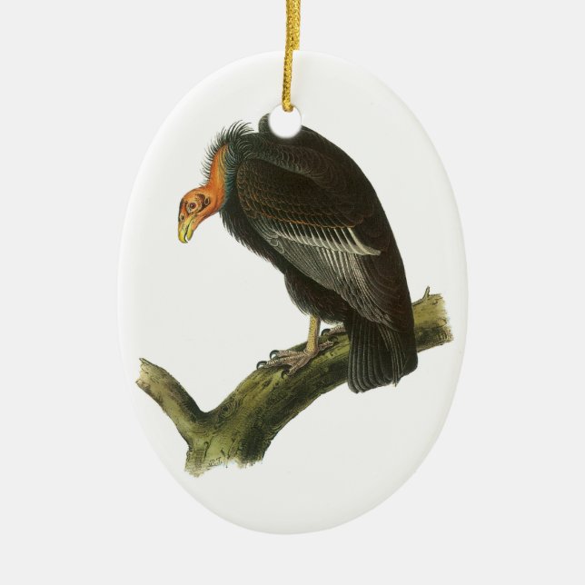 California Condor by Audubon Ceramic Ornament (Front)