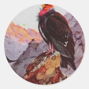 "California condor" Classic Round Sticker