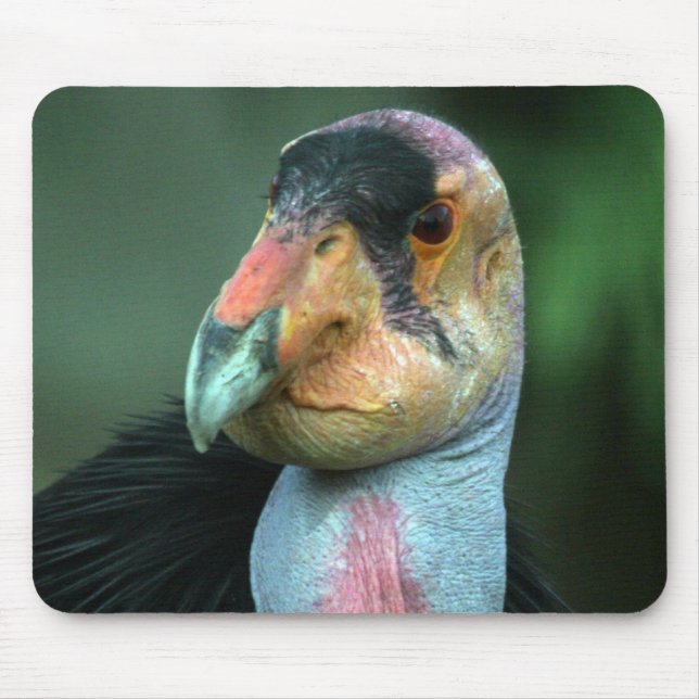 California Condor Mousepad (Front)