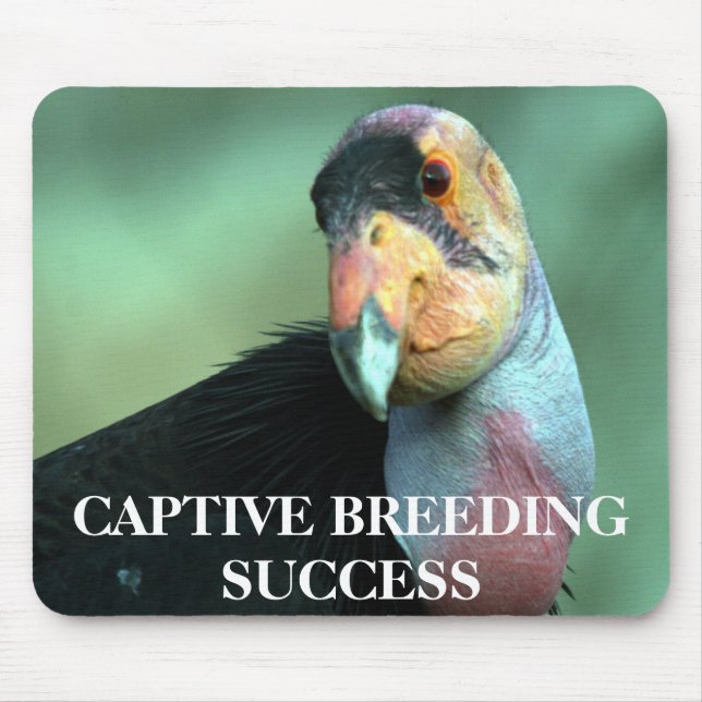 California Condor Mousepad (Front)