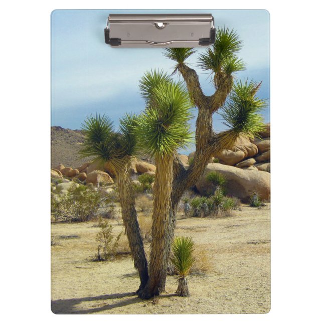 California Desert Succulents, Rocks & Clear Sky Clipboard (Front)