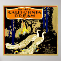 California Dream Brand Orange Crate Fruit Label 19