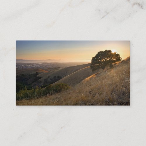 California East Bay Hills in Summer business card