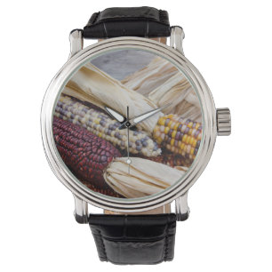 California. Fall Harvest Colorful Indian Corn Watch